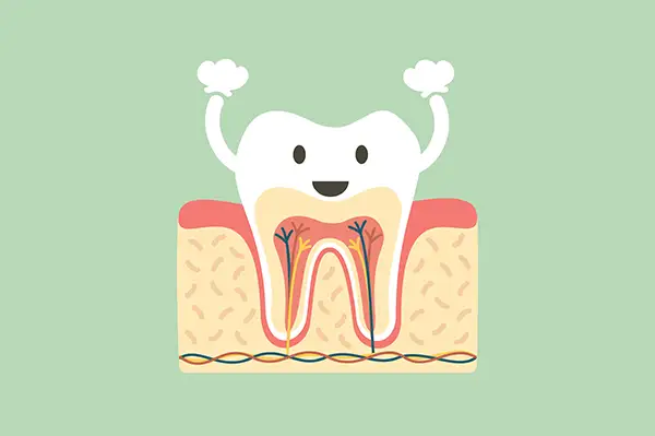 Cartoony, happy tooth with healthy roots and nerves, symbolizing successful root canal treatment for kids.