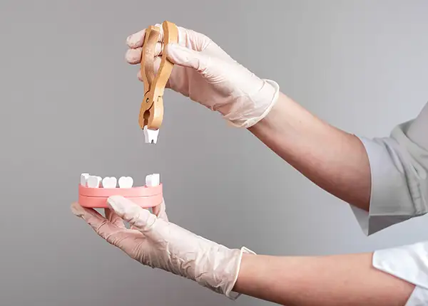 A dentist wearing gloves using a dental tool to extract a tooth from a model of teeth for educational purposes.